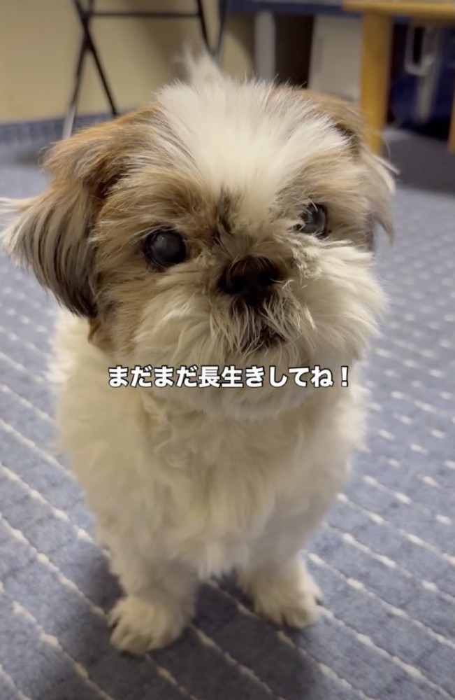 元気な毎日に感謝