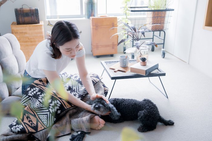 犬と触れ合う女性