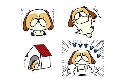 シーズー1（※そんなに見つめられたら）のスタンプサンプル