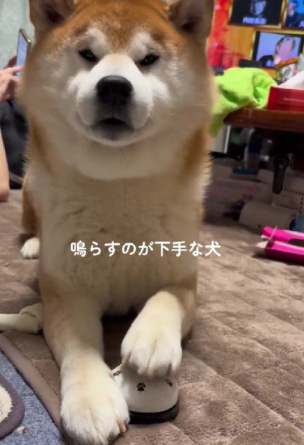 ベルは鳴らない