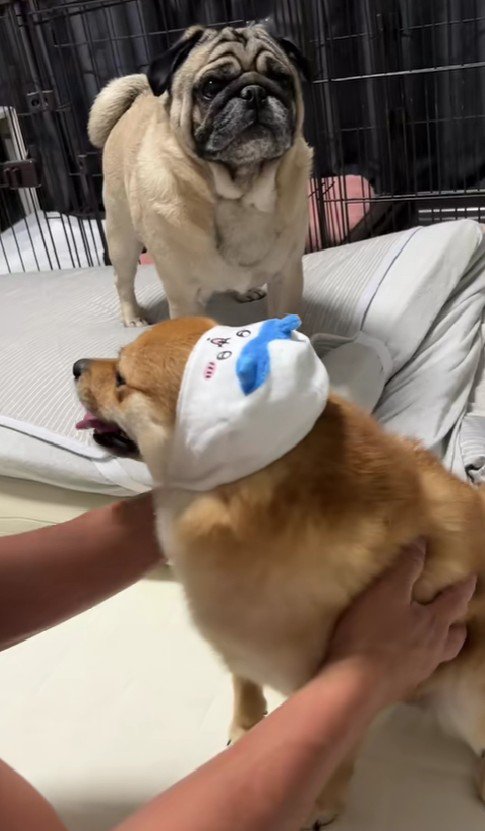 チャイムが鳴ったら…