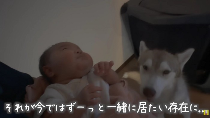 大切な存在に…