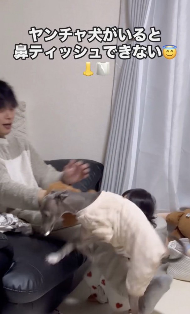 逃げっ！！