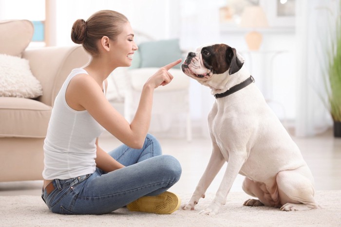 犬のトレーニングする女性