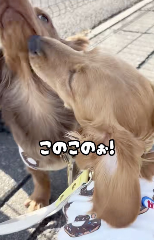 「びっくりしたじゃんー!」