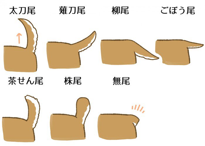 しっぽの種類その2
