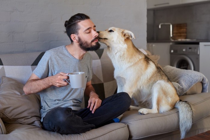 飼い主をなめる犬