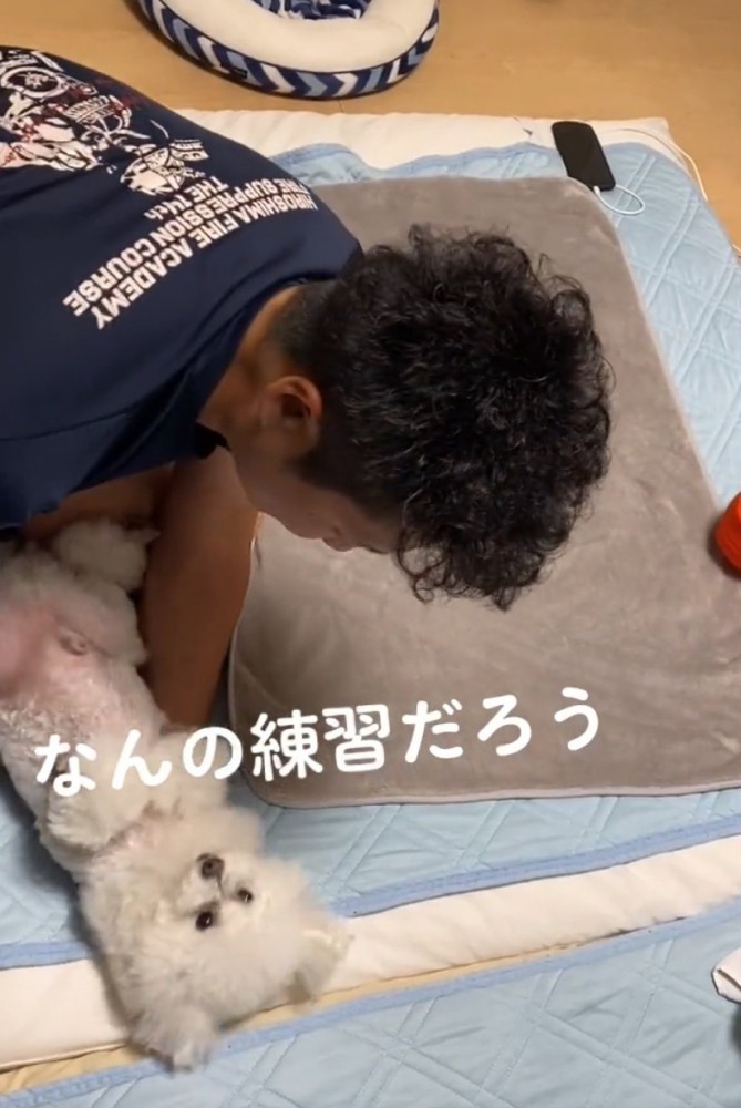 抱っこされる犬
