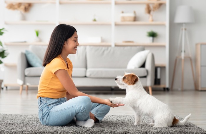お手をする犬