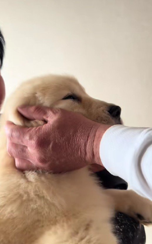 キョトン顔のリブちゃん