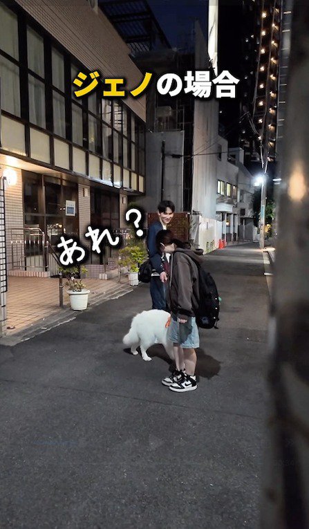 飼い主のそばで立ち止まる白い犬