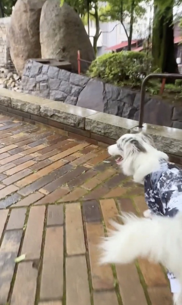 こっちー！