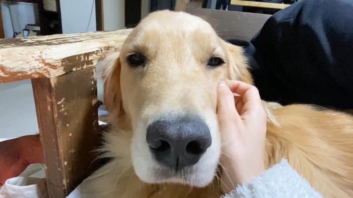 「もうっ、ママの1番は僕でしょ！」