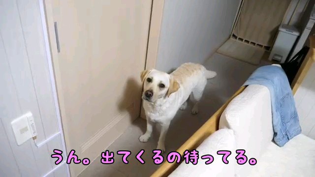 うん。～字幕