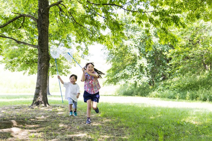 虫取り網を持って走り寄ってくる二人の子供