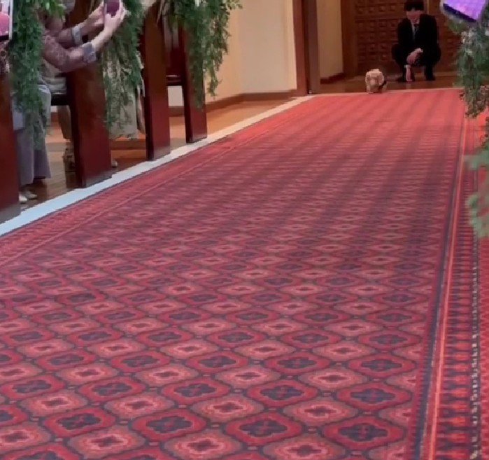 リングドッグを任された