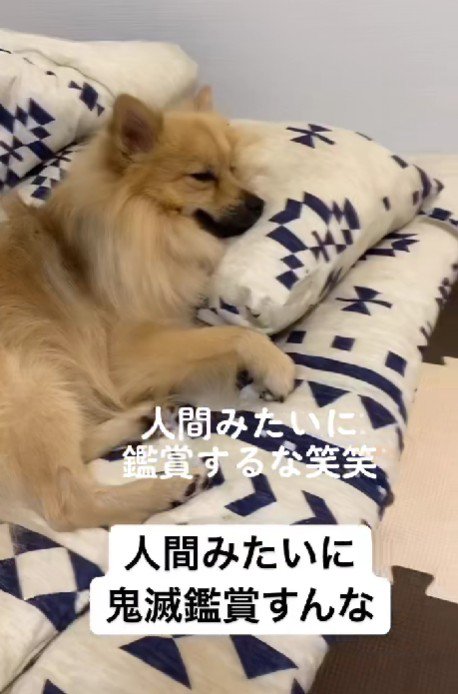 視線の先にあったのは…