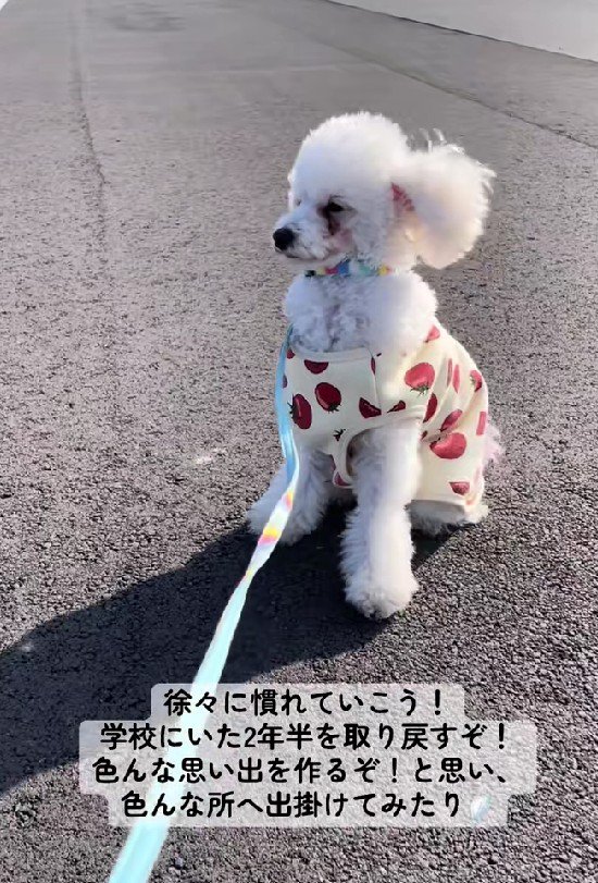 自然の中って気持ちいい