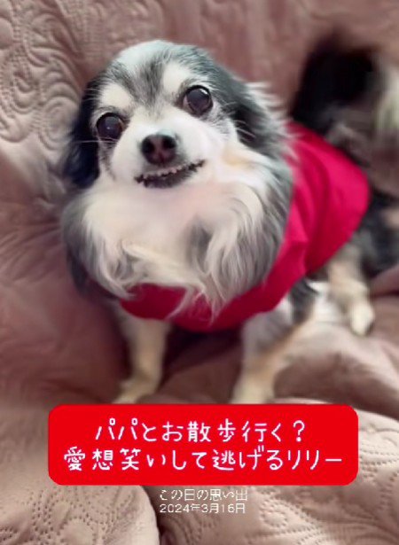 お散歩に誘うと…