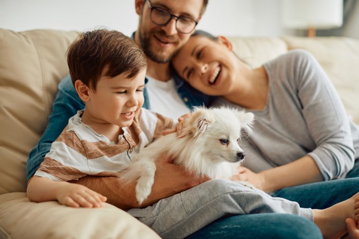 父母子と犬