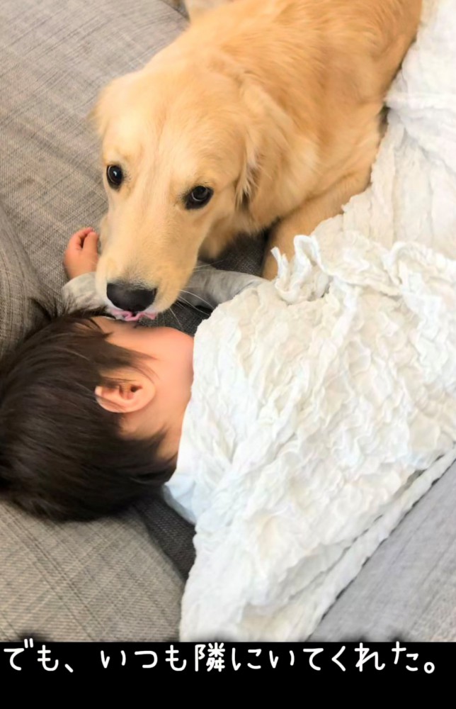 布団にくるまった子どもに寄り添う犬