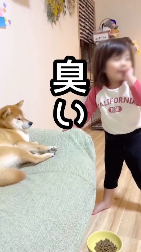 犬のにおいについてコメントする女の子