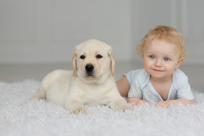 赤ちゃんと子犬