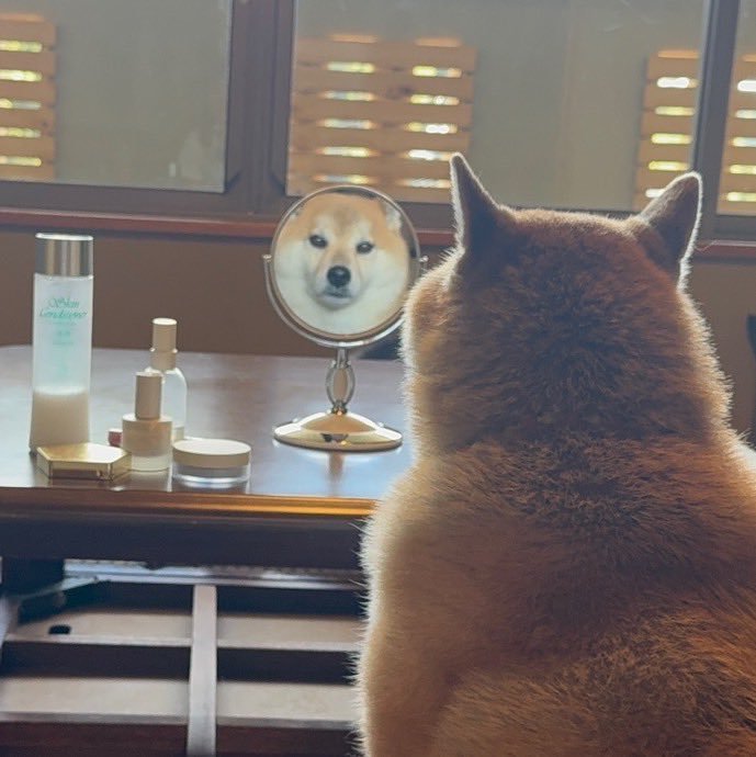 後ろ姿