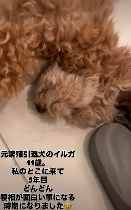 幸せいっぱいのイルガちゃんでした!