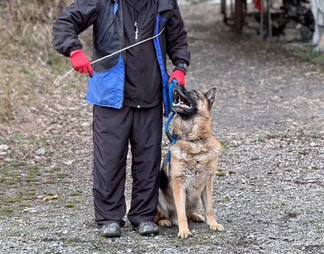 隣に座る犬