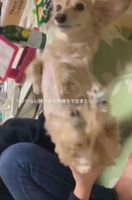毎日穏やかに生きている