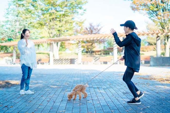 女性2人が手を振って挨拶をする