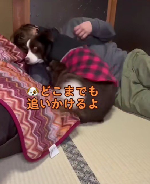 「着いて行くんだから!!」