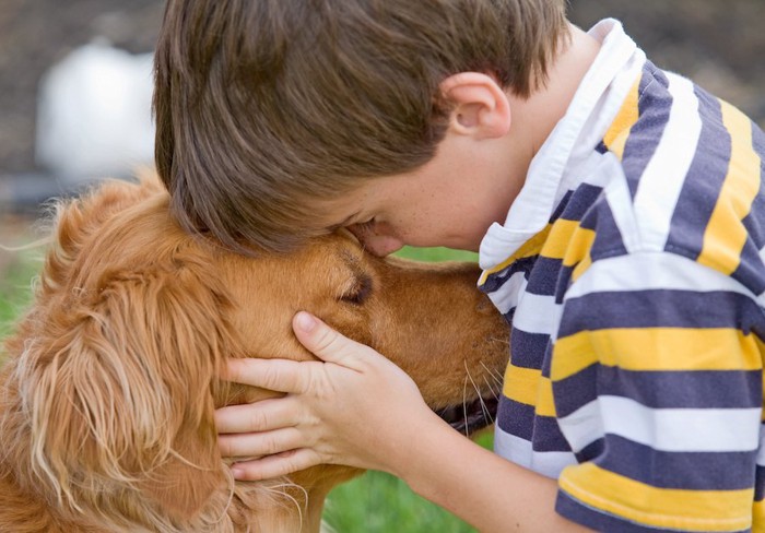 男の子にハグされている犬