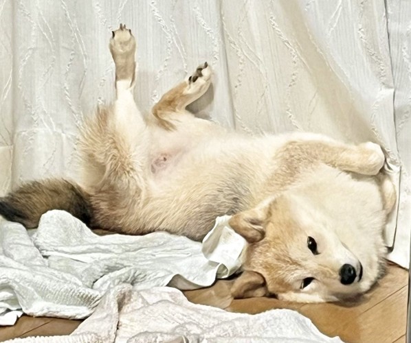 首