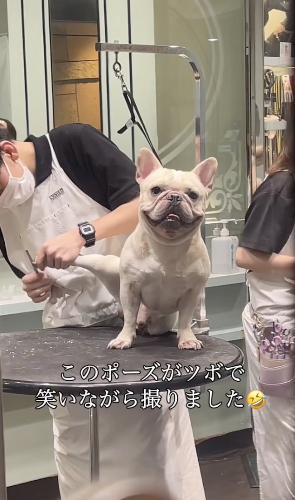 ツボるママ