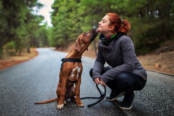 人の口を舐める犬