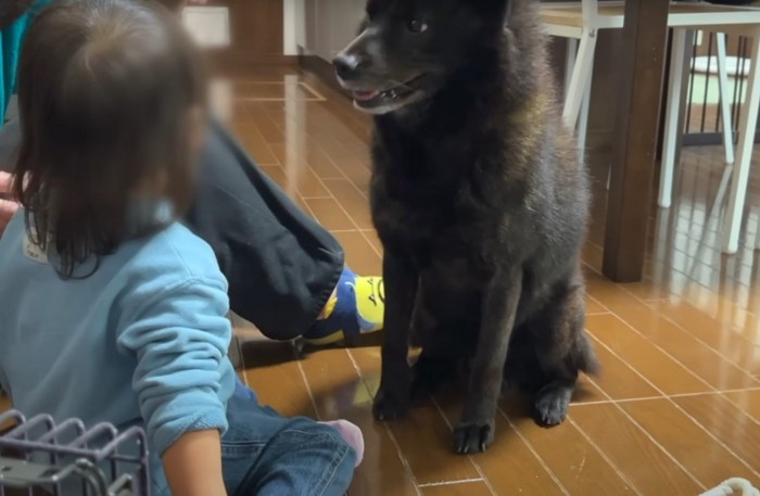 座って女の子に笑顔を向ける犬