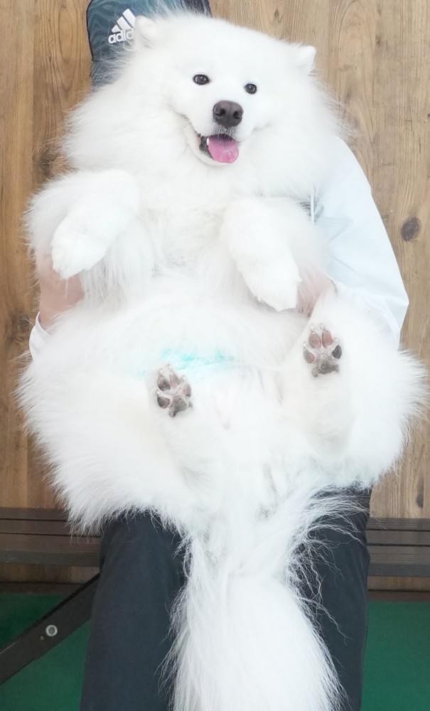 いつまでも