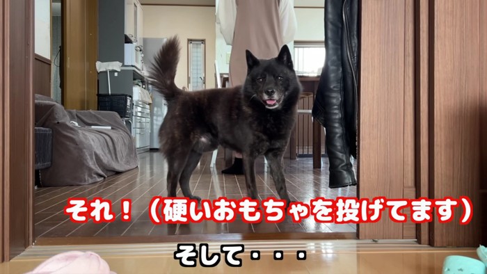 おもちゃを投げちゃった！