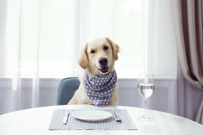 テーブルにつく犬