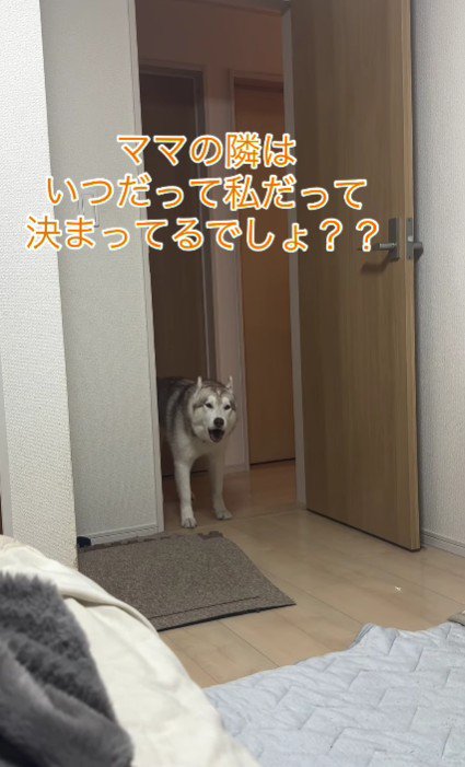 ママ大好きなモニカちゃんでした♡