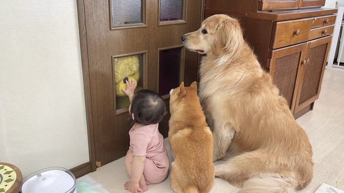 尊すぎる