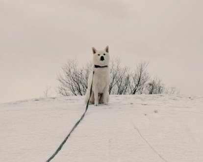 美しすぎる