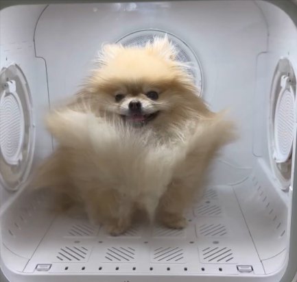 ニコニコ
