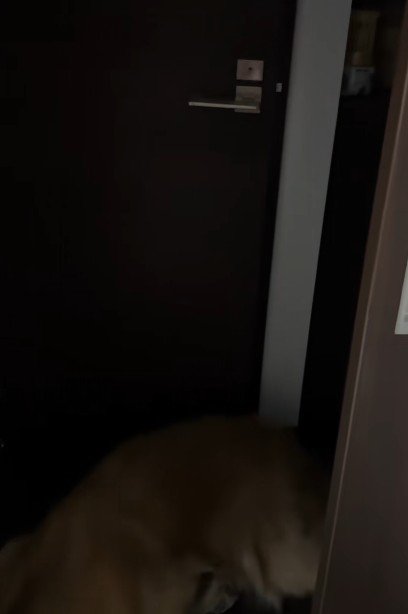 押しても開かない…