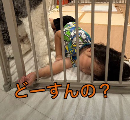 ケージの中で寝てしまった女の子