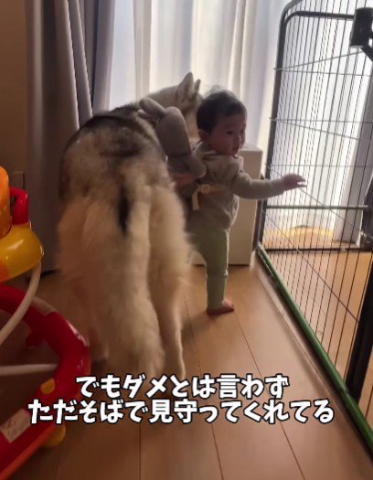 スノウちゃんのおかげで冒険できる♪