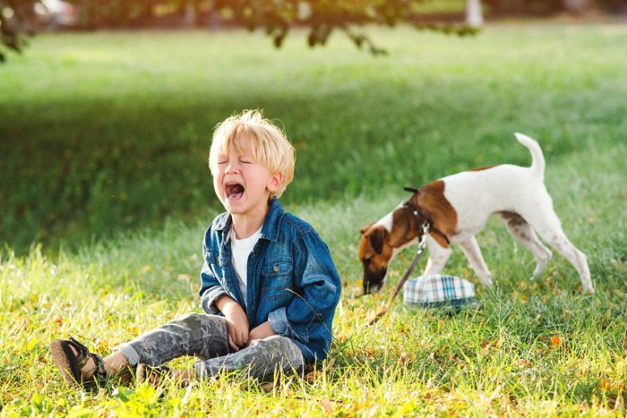 泣いている男の子と犬