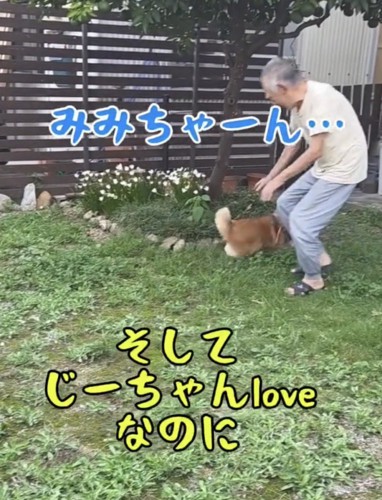 犬に手を伸ばすおじいちゃん